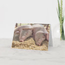 Search for pig anniversary cards Funny