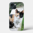 Search for quirky cases Cats
