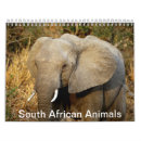Search for african calendars South