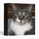 Search for cat binders grey