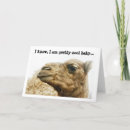 Recherche de dromadaire cartes postales Mignon