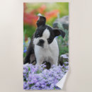 Search for boston terrier gifts Puppy