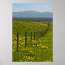 Recherche de yellow posters Naturel