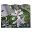 Recherche de fleurs calendriers Roses