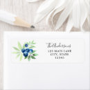 Search for blueberry return address labels Watercolor