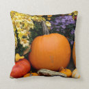 Search for danita delimont pillows Decorative
