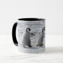 Search for antarctic mugs Penguin