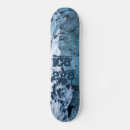 Search for ages skateboards Ice age
