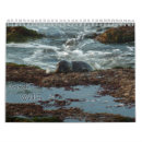 Search for wildlife photography calendars 2025