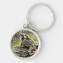Search for tail keychains Cute
