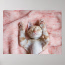 Search for tiny posters Kitten