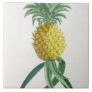 Search for engravings tiles 18th