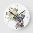 Search for miniature clocks Schnauzer