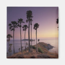 Search for phuket magnets Tropical