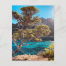 Search for marseille postcards South of france