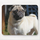 Search for cute fawn mousepads Dog
