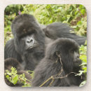 Recherche de mcdonald dessous de verres Rwanda