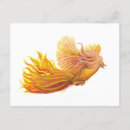 Recherche de phenix cartes postales Phoenix