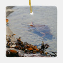 Recherche de national park ornaments Paysage
