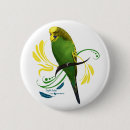 Search for parakeet buttons Budgerigar