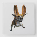 Recherche de beagle horloges Chiot