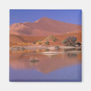 Search for mirror mirror magnets Scenic