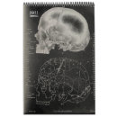 Search for skull calendars Skeleton
