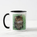 Search for persian cat mugs Studio shot