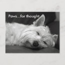 Recherche de chien westie cartes postales Gauches