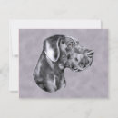 Recherche de chenil invitations Chien