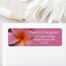 Search for frangipani return address labels Floral