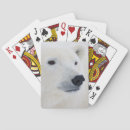 Search for danita delimont playing cards Arctic