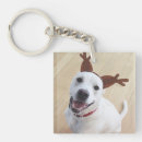 Search for cute reindeer keychains Funny