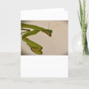 Search for mantis cards Flower