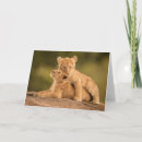 Search for folding reserved cards Wildlife reserve