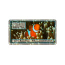 Search for coral reef return address labels Ocean