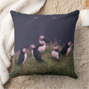 Search for puffin pillows Wildlife