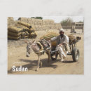 Search for carts horizontal postcards Transportation