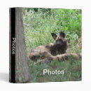 Search for dog photo albums Dogs