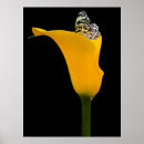 Recherche de ailes papillon posters Noir