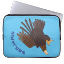 Search for falconer electronics Falconry