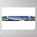 Recherche de rooster posters Nature