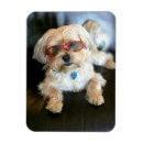Recherche de refrigérateur magnets Dog
