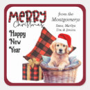 Search for funny buffalo stickers Typography