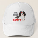 Search for adoptive hats Dog