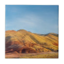 Search for bed tiles Landscape
