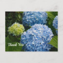 Recherche de blue hydrangea thank you cards Fleurs