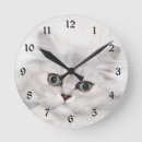 Recherche de persan horloges Chat