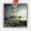 Search for yellowstone national park ornaments Geyser