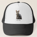 Recherche de portrait casquettes Chat